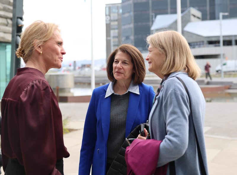 Þorgerður Katrín og þingmenn