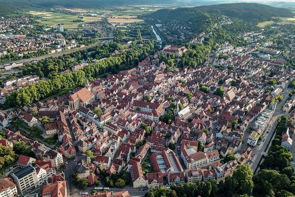 Lestarstjóri fann óvænta gesti um borð