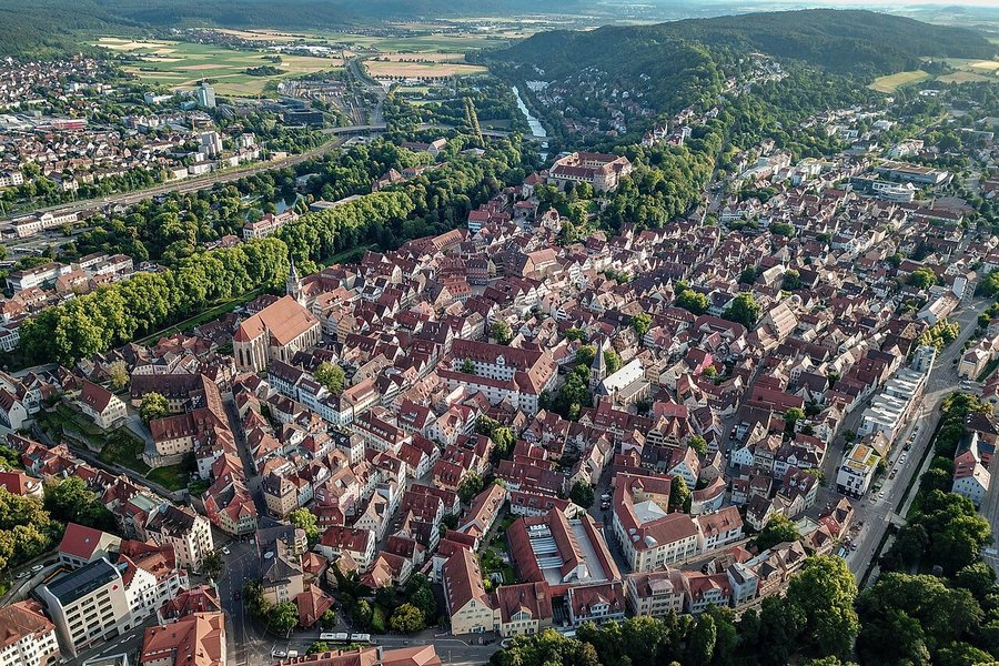 Lestarstjóri fann óvænta gesti um borð