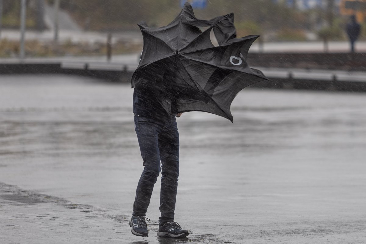 Haustlægð