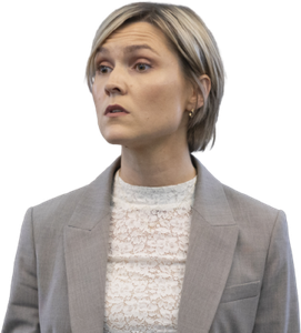 Alþingi 71. grein útklippt