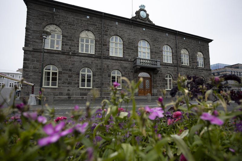 Alþingishús og gróður í forgrunni