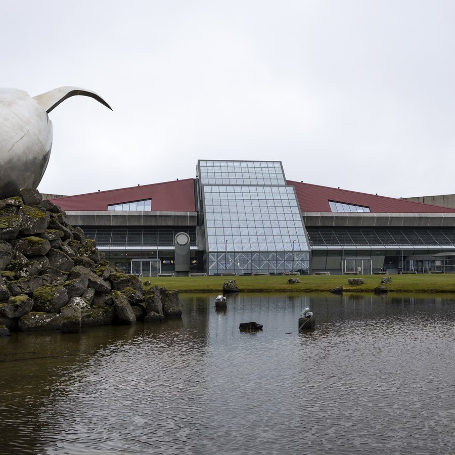 Richards flutti inn lygilegt magn af metamfetamínkristöllum innvortis
