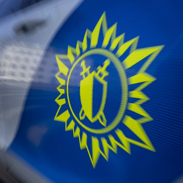 Misheppnaður þjófur skemmdi bíl