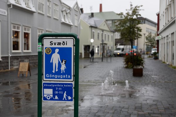 Björn braut rúðu í lögreglubíl með höfðinu