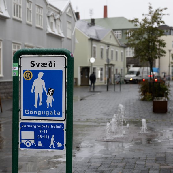 Björn braut rúðu í lögreglubíl með höfðinu