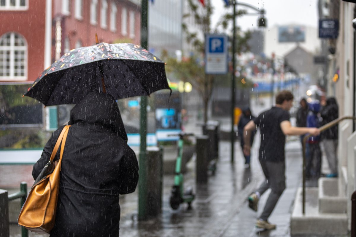 Rigning Reykjavík