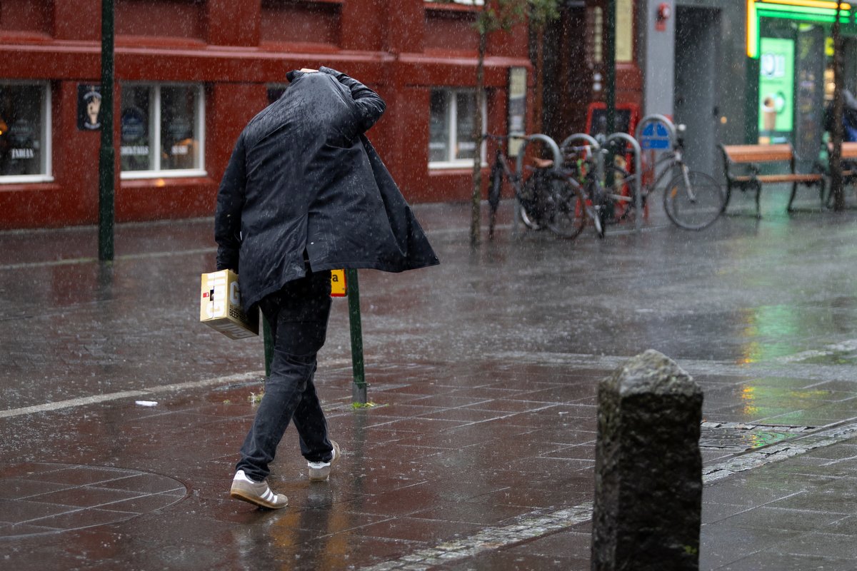 Rigning Reykjavík