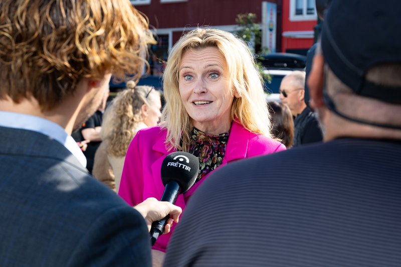 Heiða Björg Hilmisdóttir