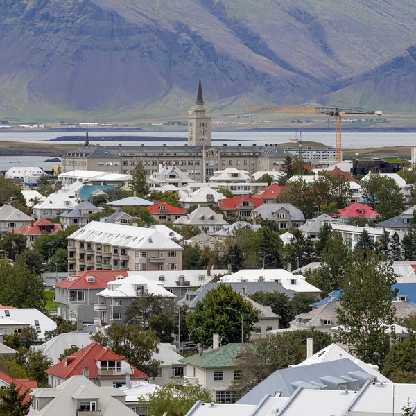 Reykvíkingur plataði tvo menn illa og græddi vel