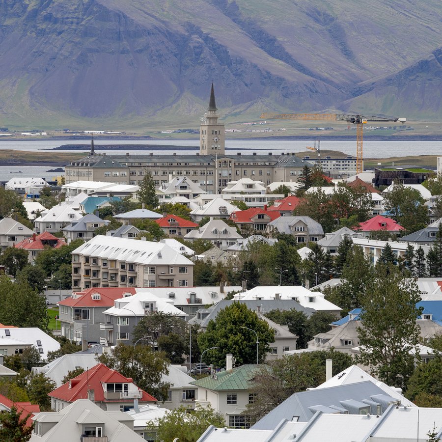 Reykvíkingur plataði tvo menn illa og græddi vel