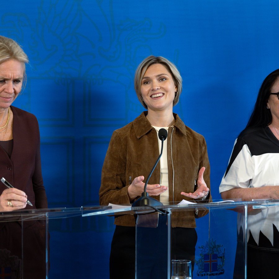 Ríkisstjórnin ræður Halldór Oddsson í vinnu