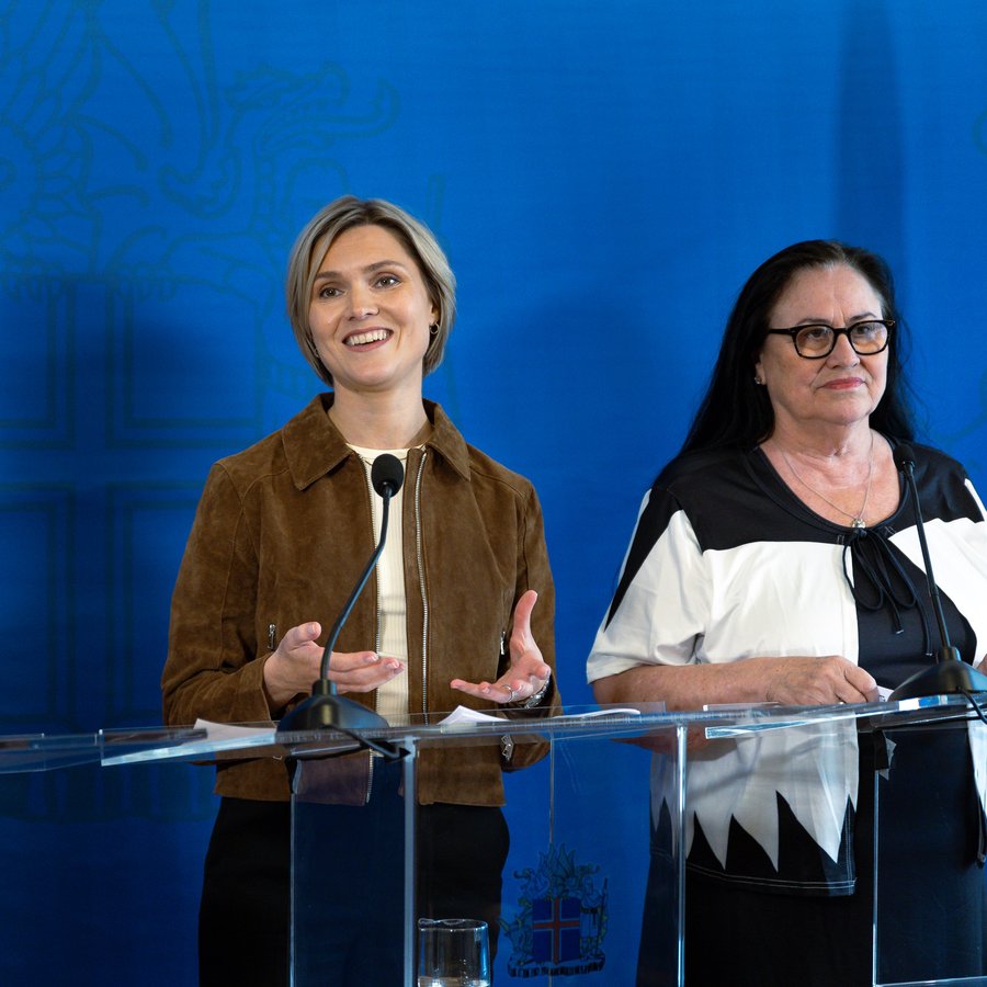 Ríkisstjórnin ræður Halldór Oddsson í vinnu