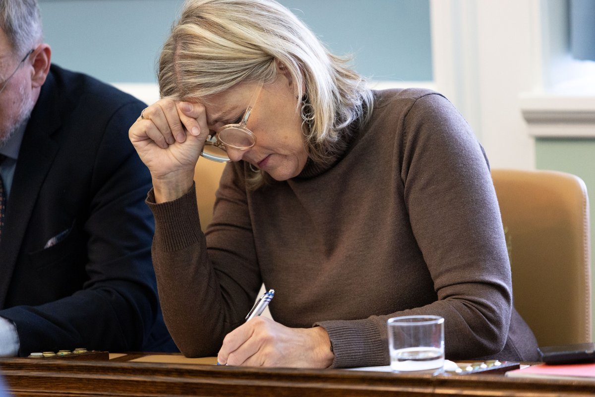 Hanna Katrín Friðriksson