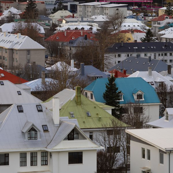 Leigusalinn kenndi utanlandsferð um veggjalúsina