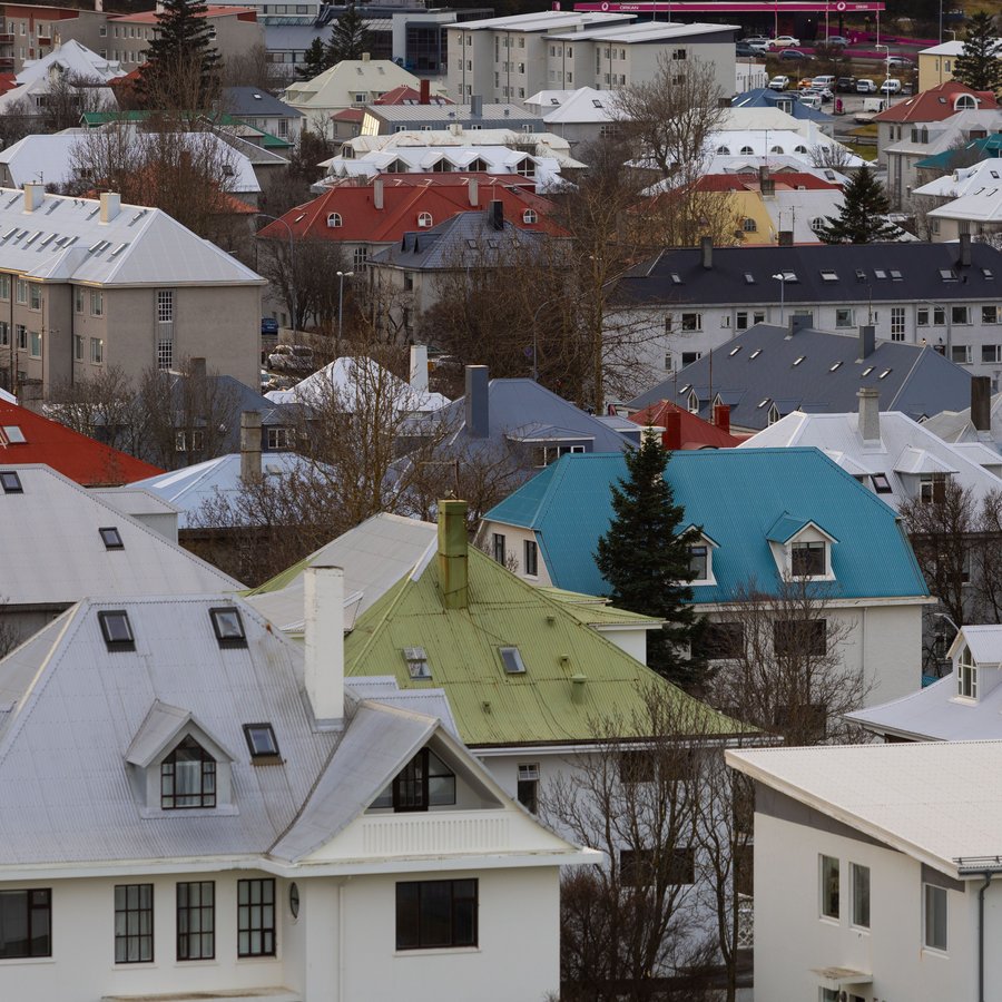Leigusalinn kenndi utanlandsferð um veggjalúsina