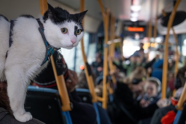 Troðfullt í strætó