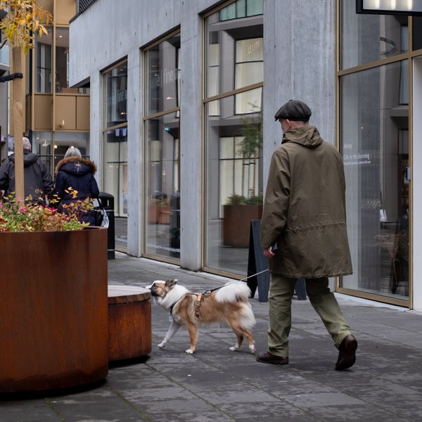 Fáir hundar í Reykjavík löglega skráðir