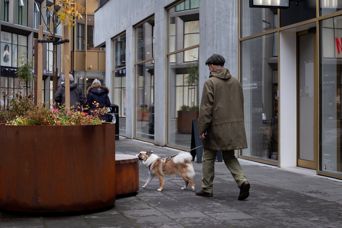 Maður með hund