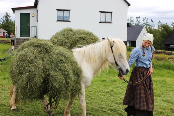 Heyannir á Árbæjarsafni