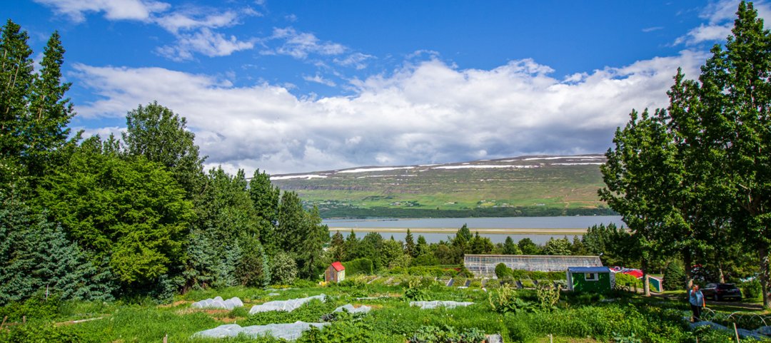 Samfélagsgarður á Akureyri