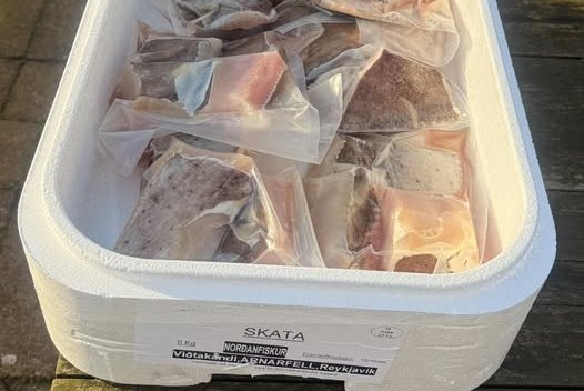 Kæst skata til vandræða hjá íslenskri fjölskyldu í Hollandi