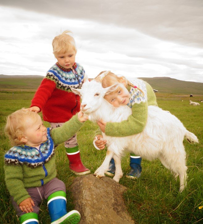 Geitaknús eru góð knús