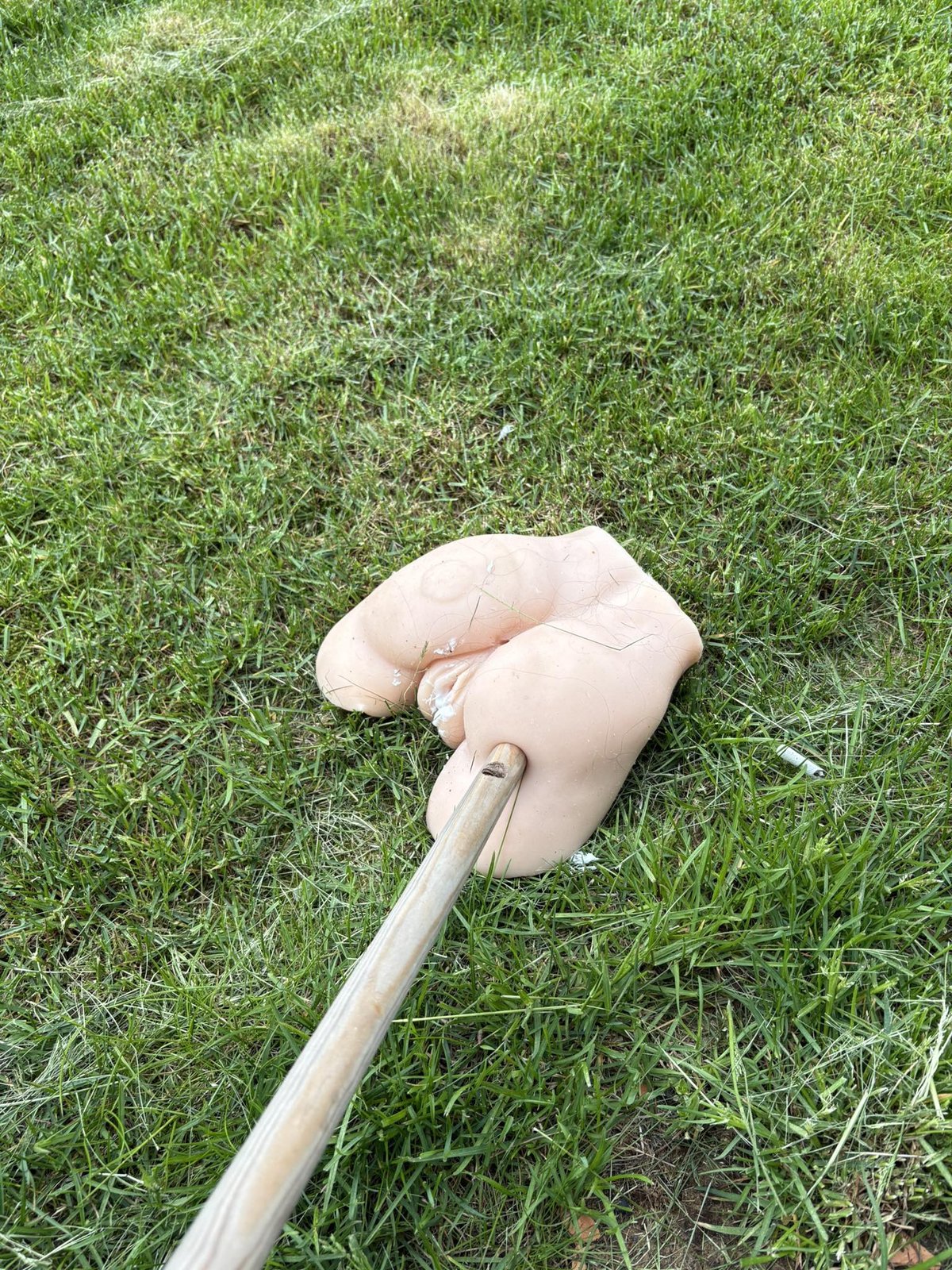 kynlífsleikfang