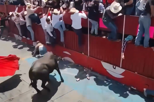 Tveir létust í nautahlaupi í Mexíkó