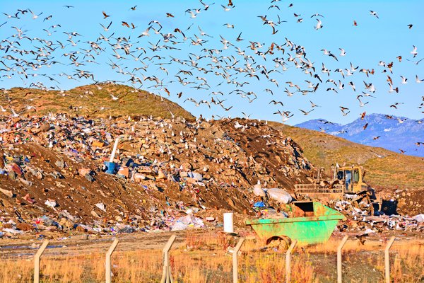 Ruslahaugur í Argentínu talinn upprunastaður hantaveirusmits á skemmtiferðaskipi