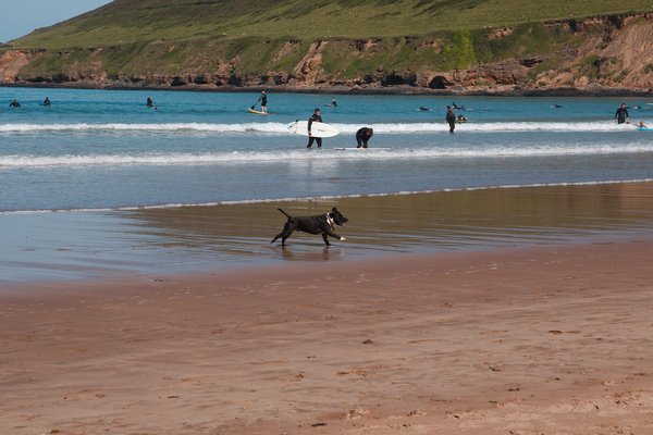 Mannabein fundust á strönd í Englandi