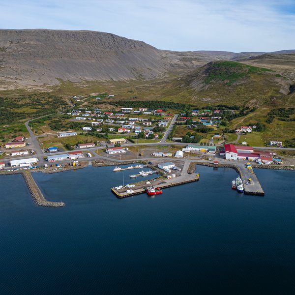 Bleikjuseiði sluppu úr keri við Tálknafjörð