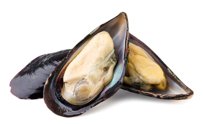 Kræklingar