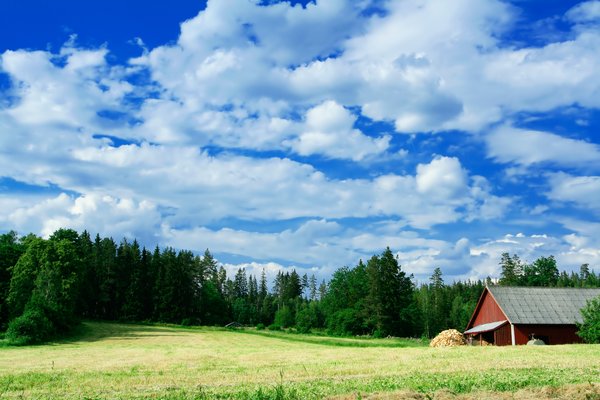 shutterstock_3508708