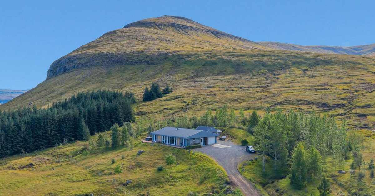 stekkjarhóll