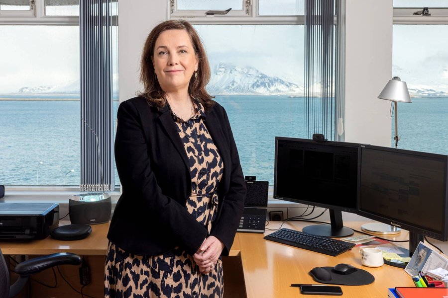 Svandís komin með nýtt starf