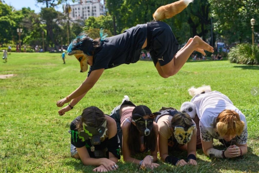 Sístækkandi hópur ungmenna upplifir sig sem dýr