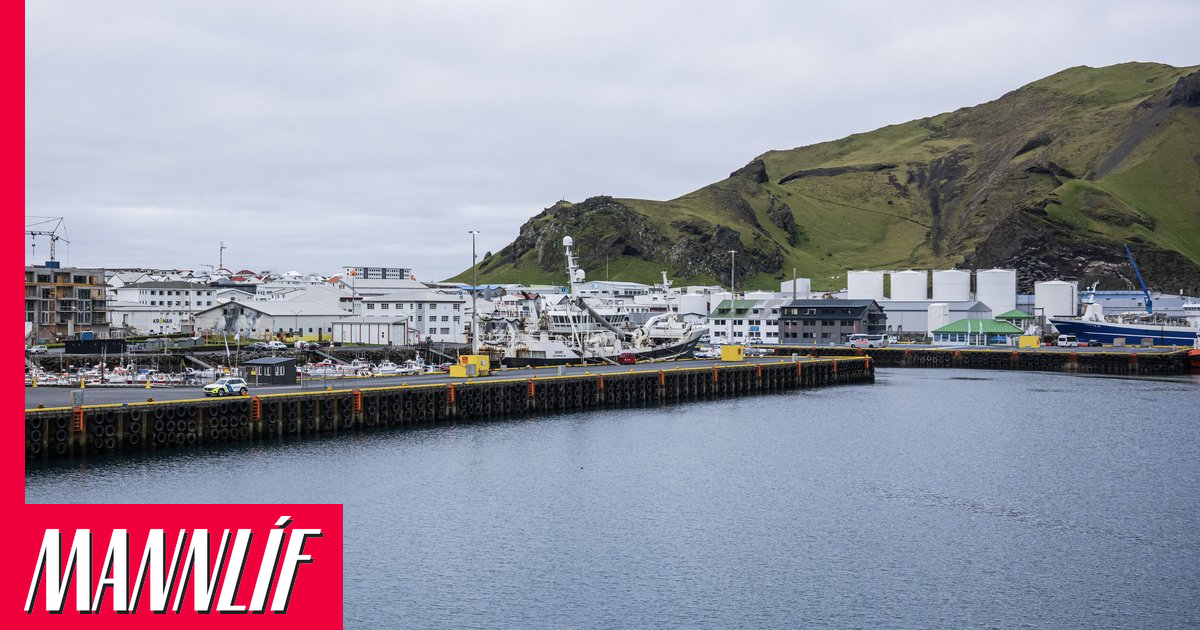 Ferjusamgöngur til Eyja fá ekki sömu stöðu og þjóðvegir