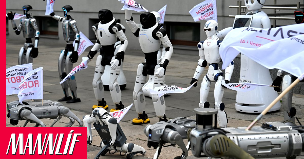 30 vélmenni kölluðu eftir auknu regluverki um gervigreind