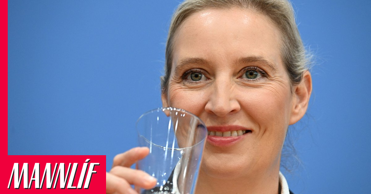 Leknir tölvupóstar grafa undan skýringum leiðtoga þýska hægriöfgaflokksins
