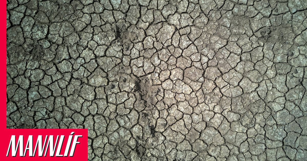 Óttast að El Niño-fyrirbærið verði það öflugasta í þúsund ár