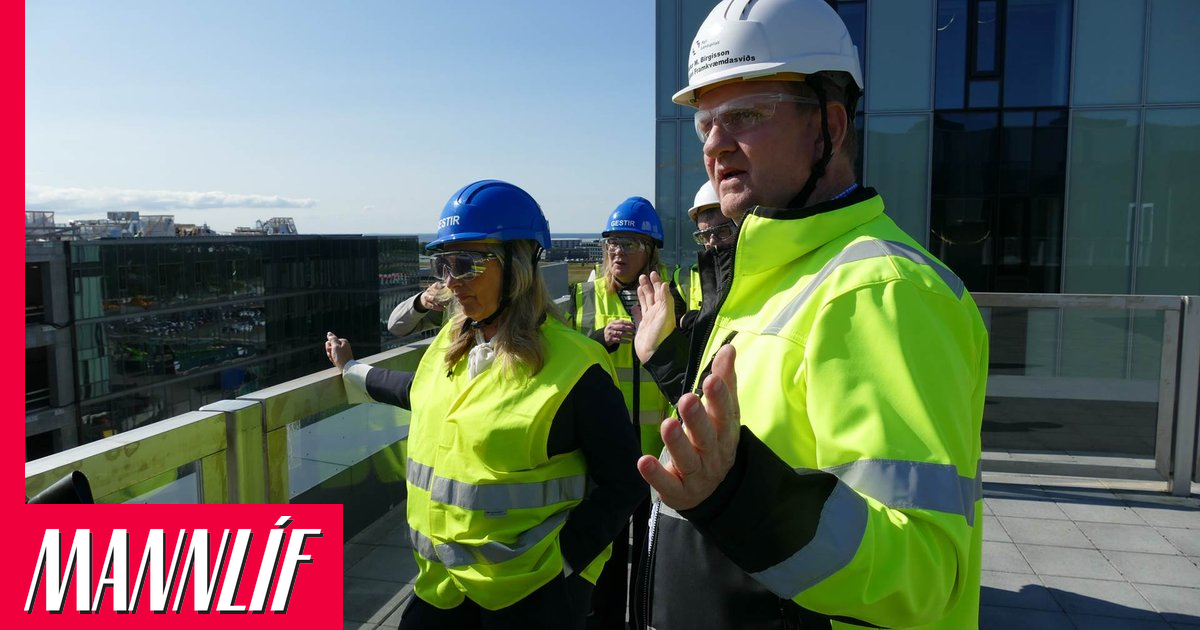 Segja Nýja Landspítalann tilbúinn árið 2029