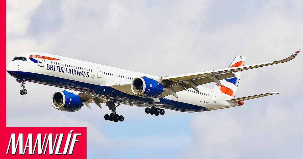 Flugmaður sá eitthvað á stærð við fjórar brauðristar á himni