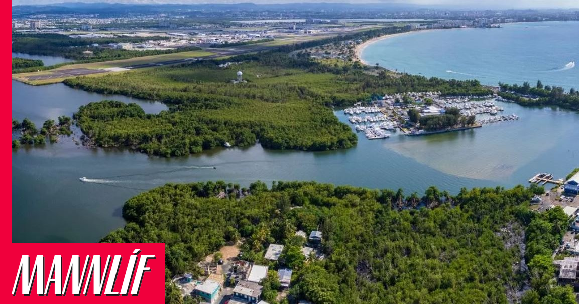 Nakin lík fimm manna fundust í Púertó Ríkó