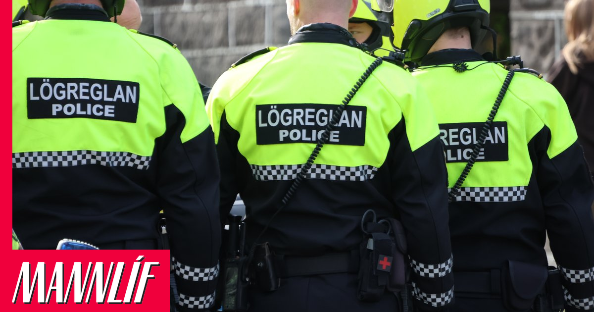 Hópur ungmenna réðst á einstakling í Breiðholti