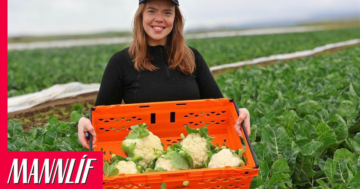 Sameinuðu þjóðirnar segja Höllu Sif vera kvenhetju