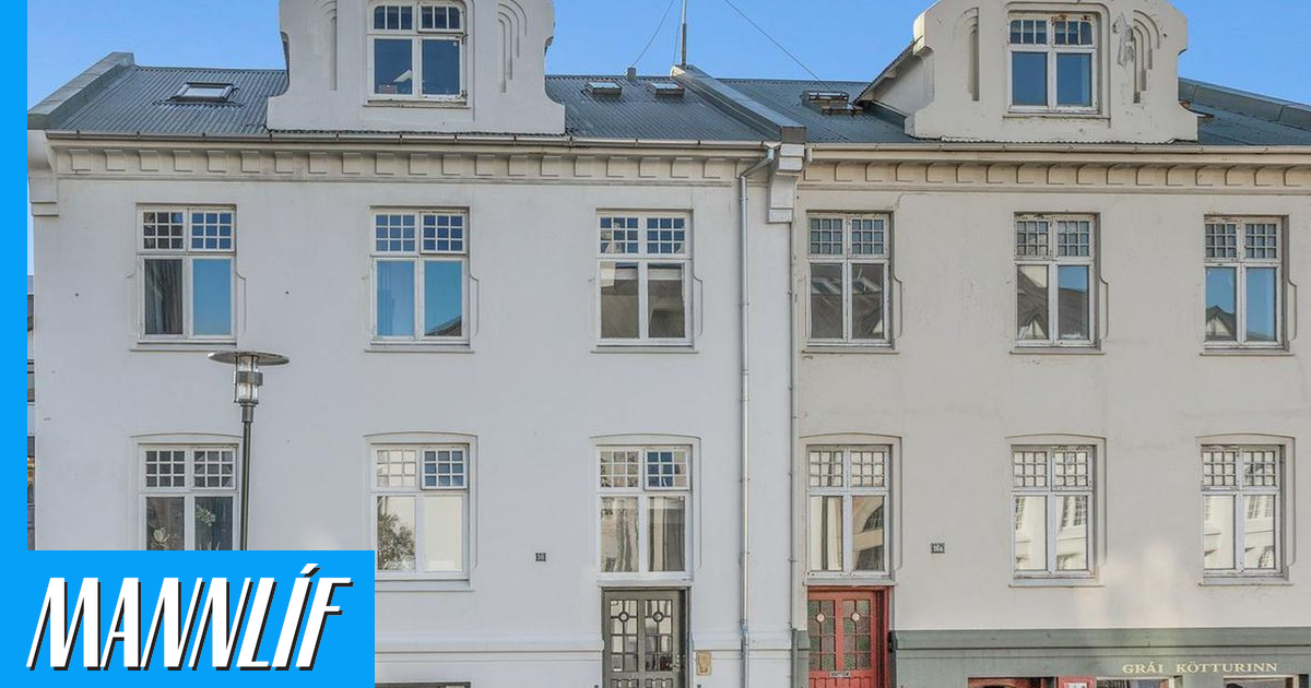 Eyrún eyðslukló selur í hjarta Reykjavíkur