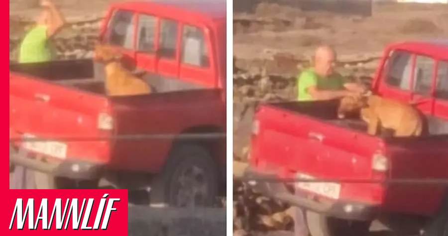Handtekinn fyrir að berja hund
