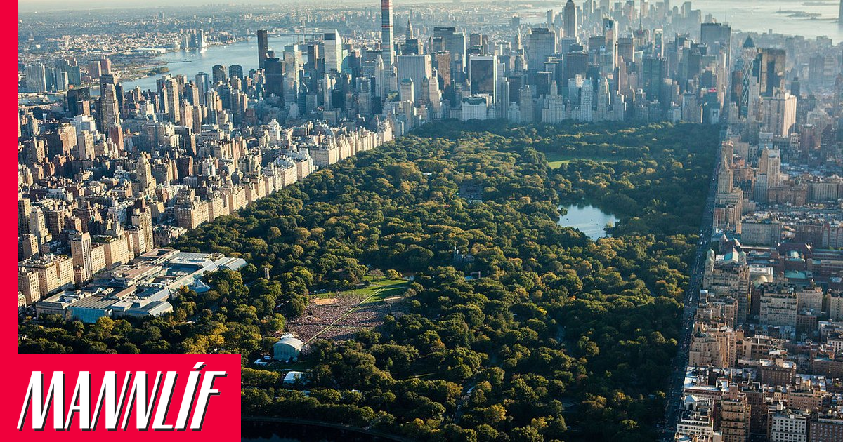 Gróf eftir verðmætum í holræsunum New York