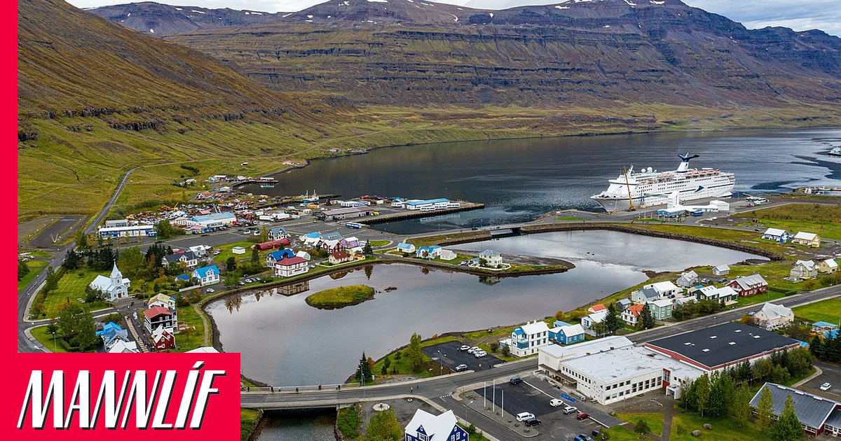 Mótmæla laxeldi samtímis á Austurvelli og Seyðisfirði